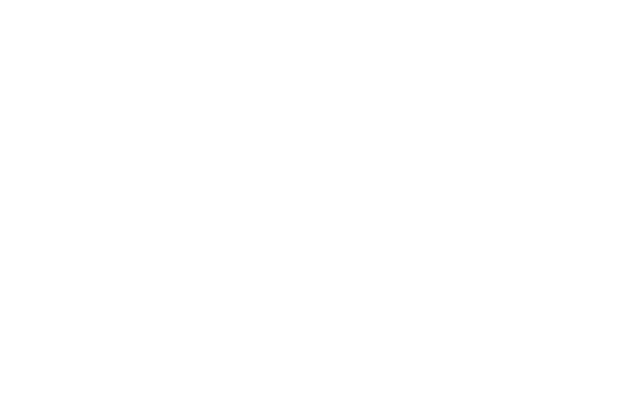 Bolt Logo White
